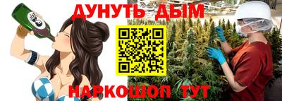 гашик Новокубанск