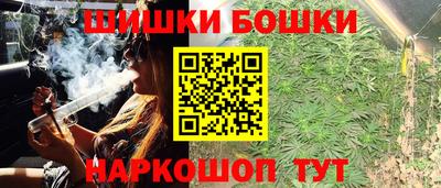 гашик Новокубанск