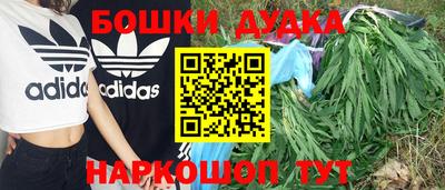 гашик Новокубанск