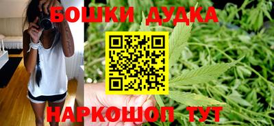 гашик Новокубанск