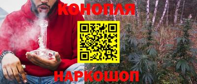 гашик Новокубанск