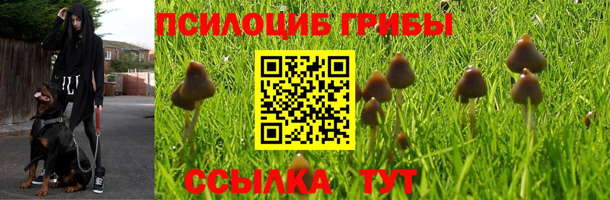 Галлюциногенные грибы MAGIC MUSHROOMS  Вход с VPN  наркота  Якутск  Галлюциногенные грибы мицелий 