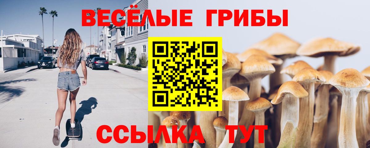 Галлюциногенные грибы ЛСД Якутск